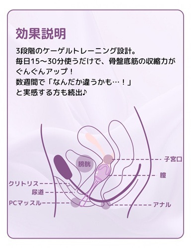 【ToyCod コア美】膣トレ初心者でも続けられる！マサがセフレと試した実践レビューと効果